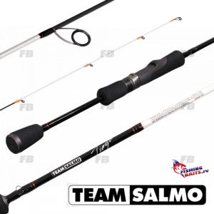Спиннинг Team Salmo TIOGA 5 7.90