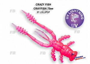 Crayfish 3&quot; 34-75-37-6